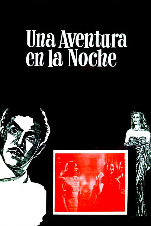 Una aventura en la noche постер