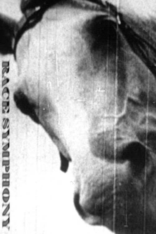 Race Symphony постер