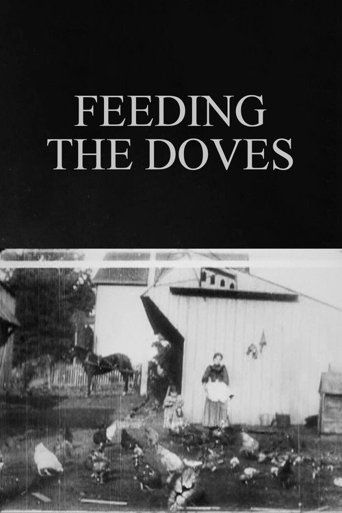 Feeding the Doves постер