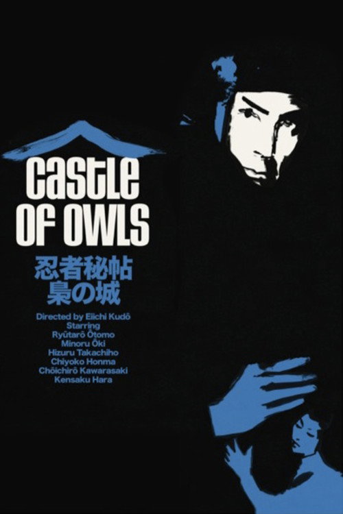 Castle of Owls постер