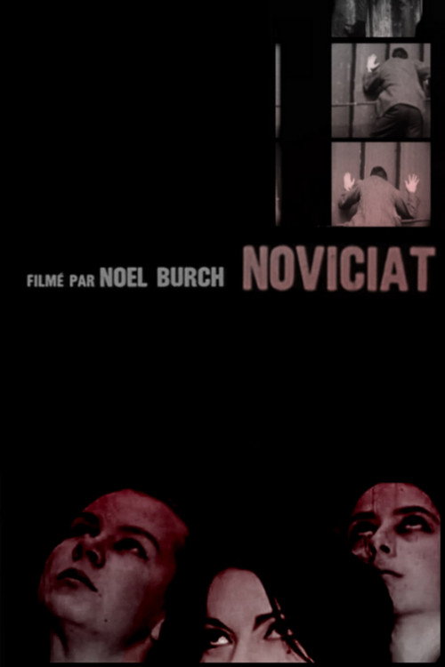 Noviciat постер