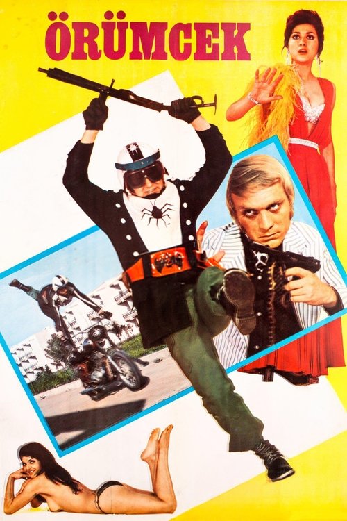 Örümcek постер