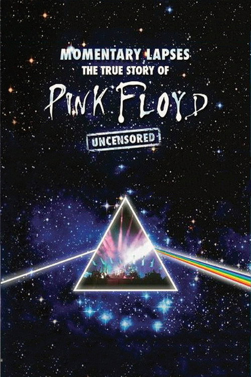 Pink Floyd: Momentary Lapses - The True Story of Pink Floyd постер