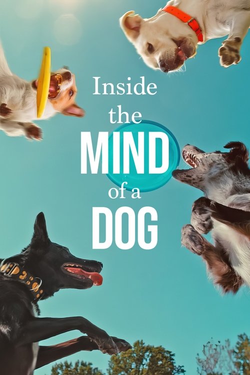 Inside the Mind of a Dog постер