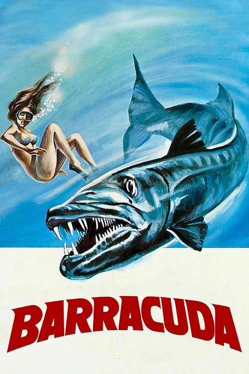 Barracuda постер