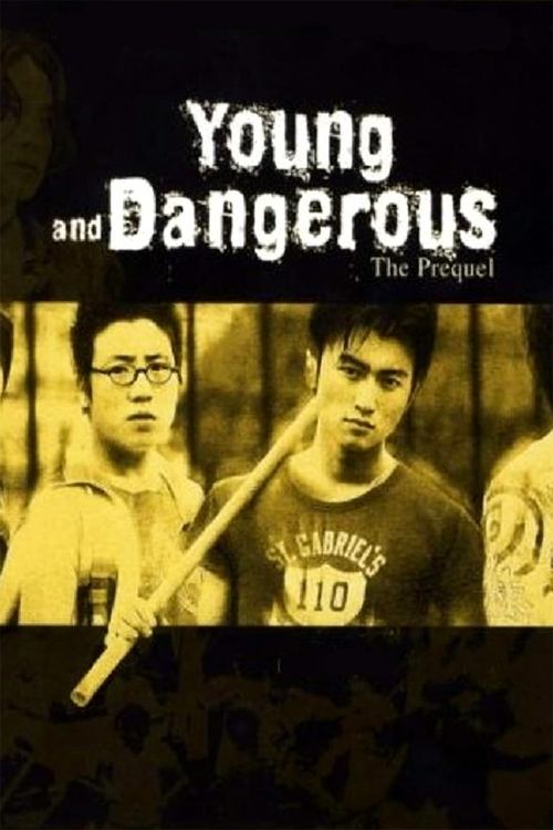 Young and Dangerous: The Prequel постер