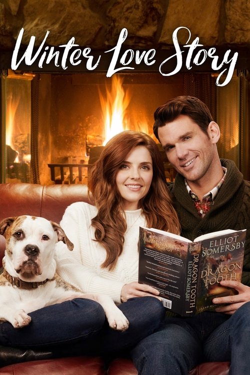 Winter Love Story постер