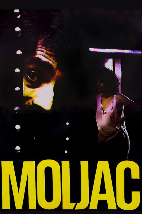 Мољац постер