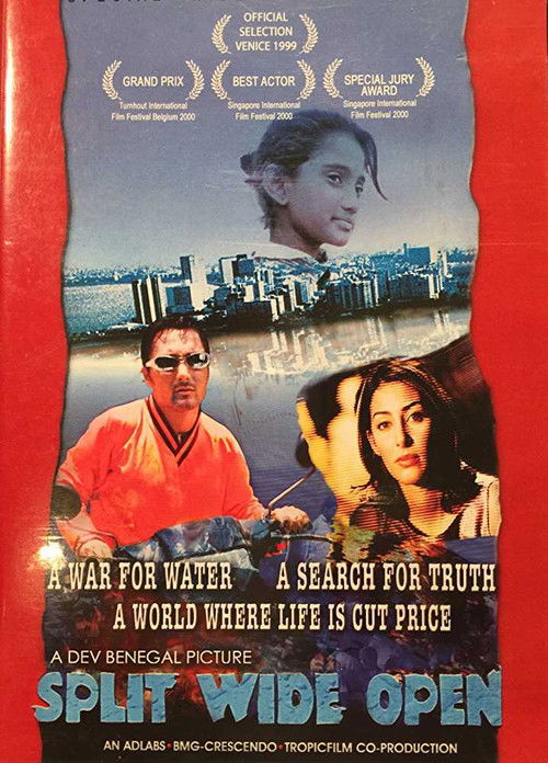 Split Wide Open постер