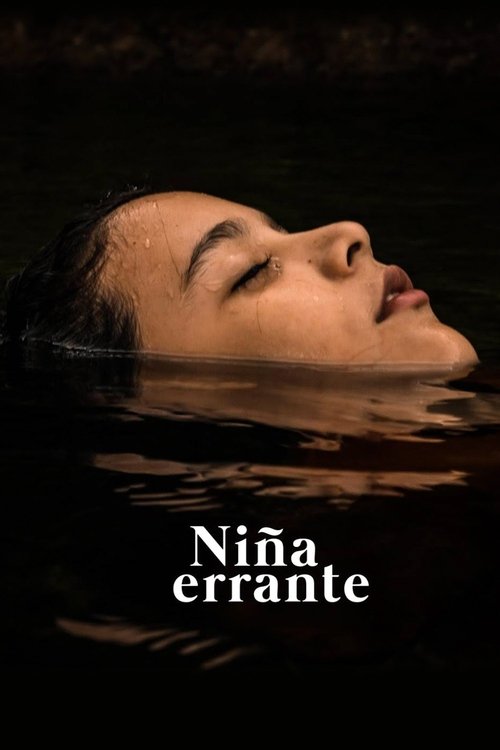 Niña errante постер