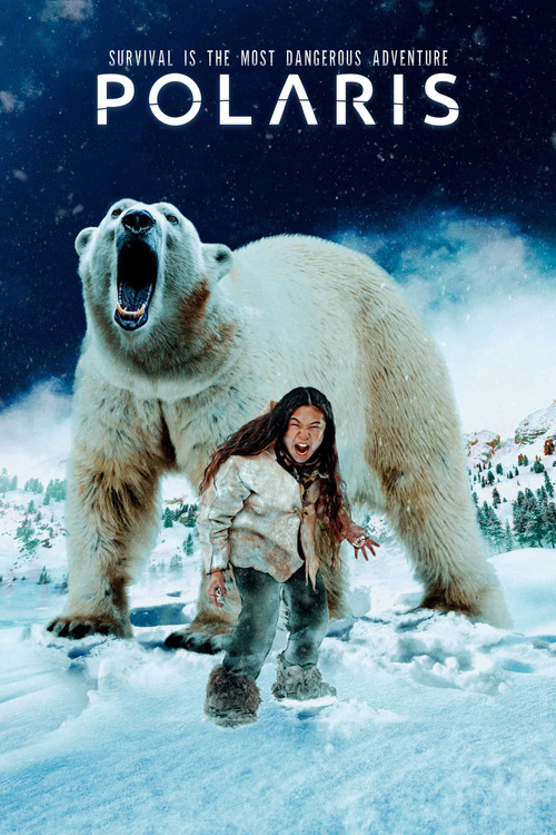 Полярис постер