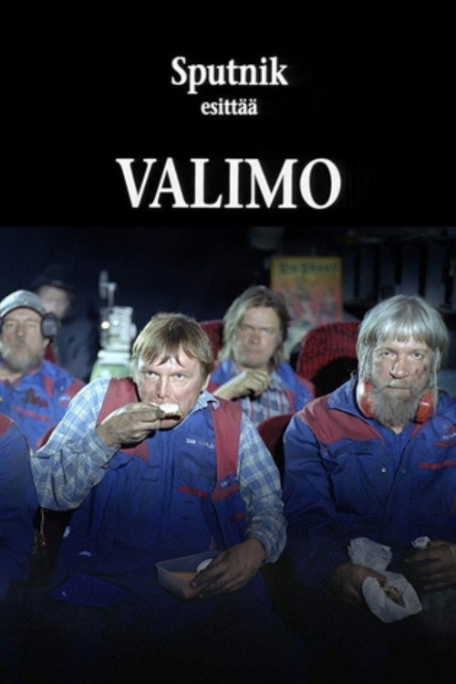 Valimo постер