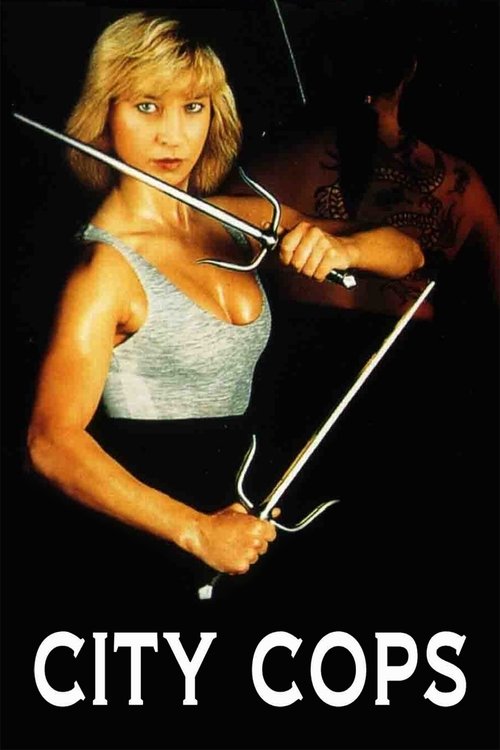 妙探雙龍 постер