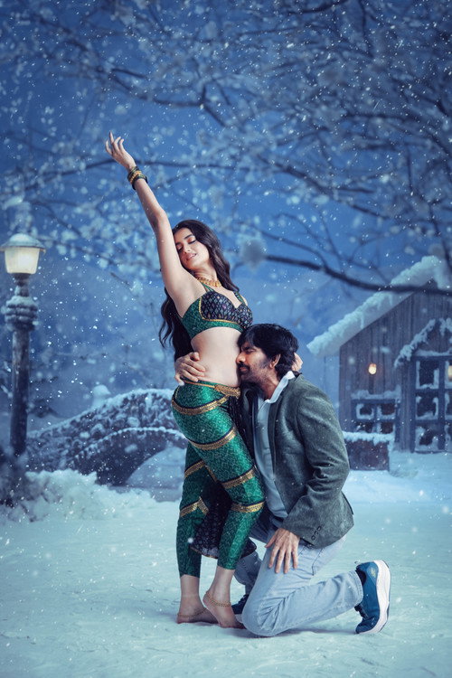 మిస్టర్‌ బచ్చన్ постер