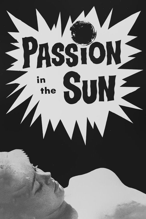 Passion in the Sun постер