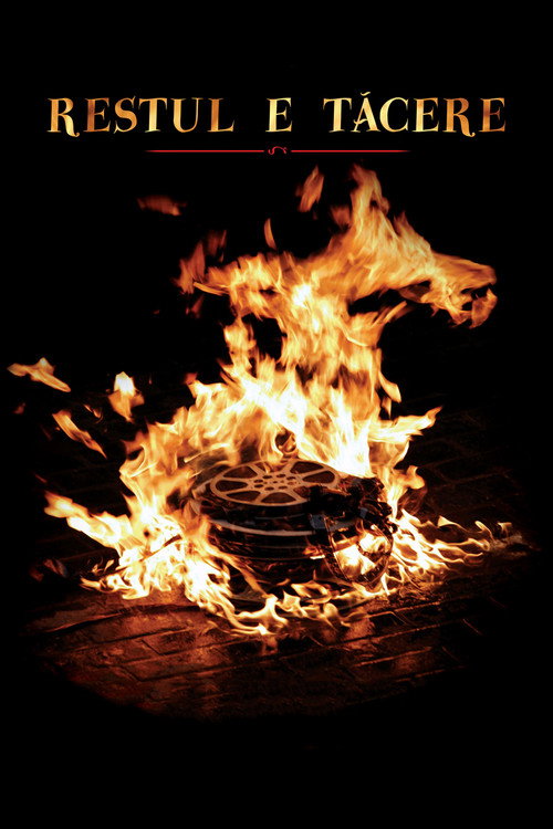 Дальше – тишина постер