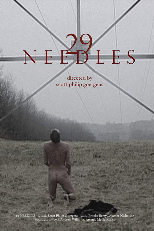 29 Needles постер