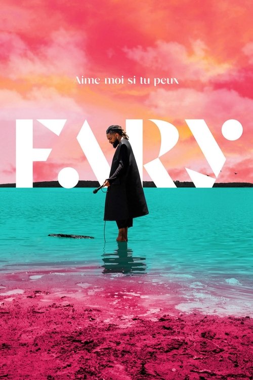Fary : Aime-moi si tu peux постер