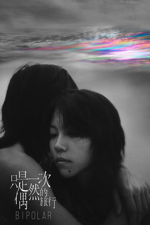 只是一次偶然的旅行 постер