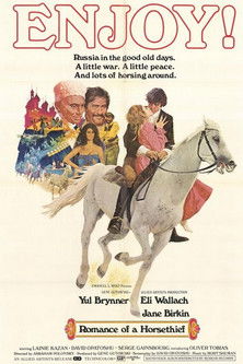 Le Roman d'un voleur de chevaux постер