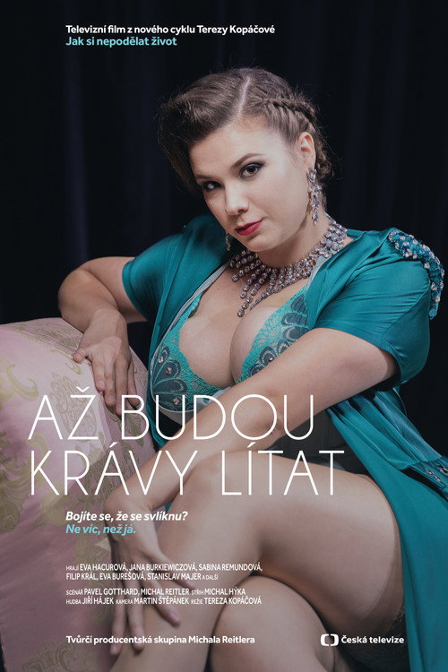 Jak si nepodělat život постер