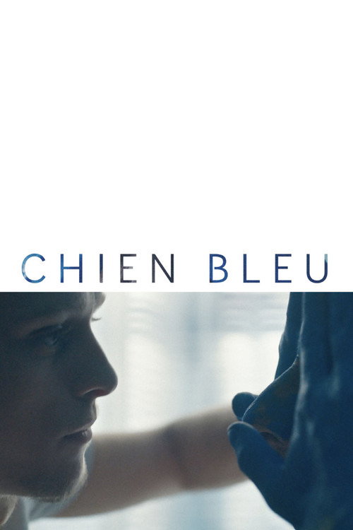 Chien bleu постер