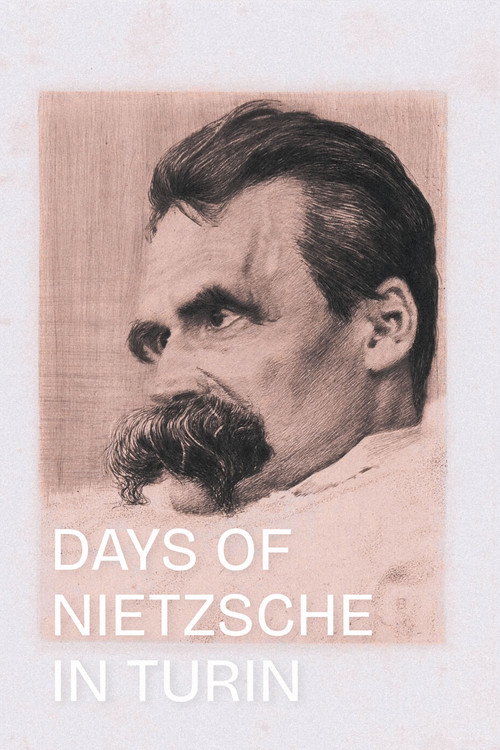 Dias de Nietzsche em Turim постер