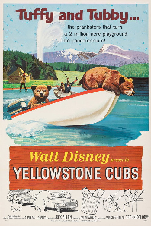 Yellowstone Cubs постер