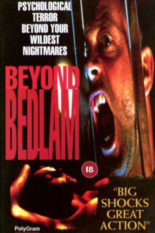 Beyond Bedlam постер