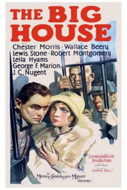 Казенный дом постер