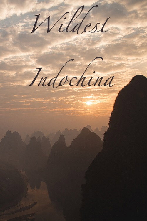 Wildest Indochina постер