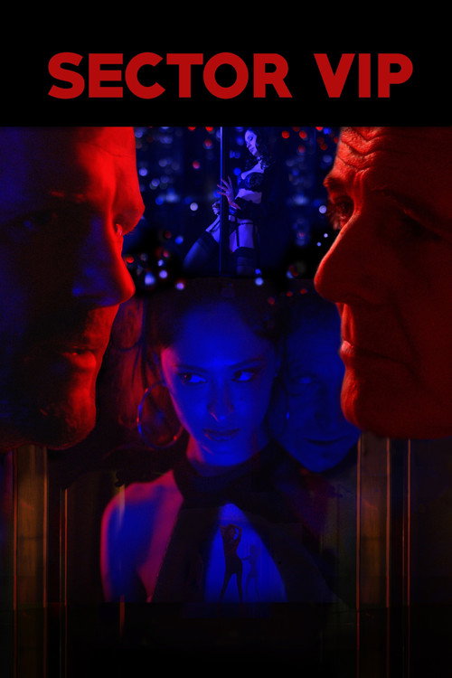 Sector VIP постер