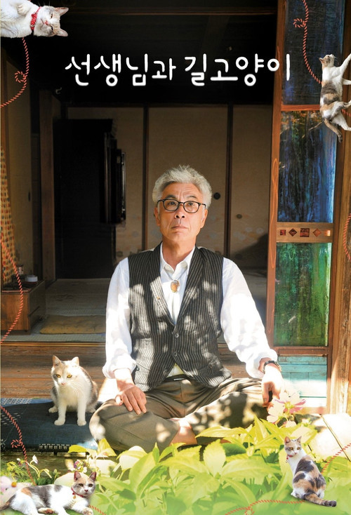 先生と迷い猫 постер