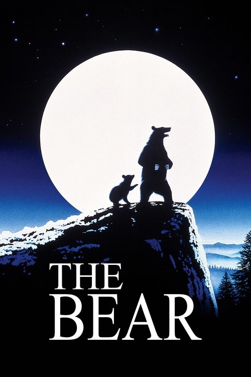 The Bear постер