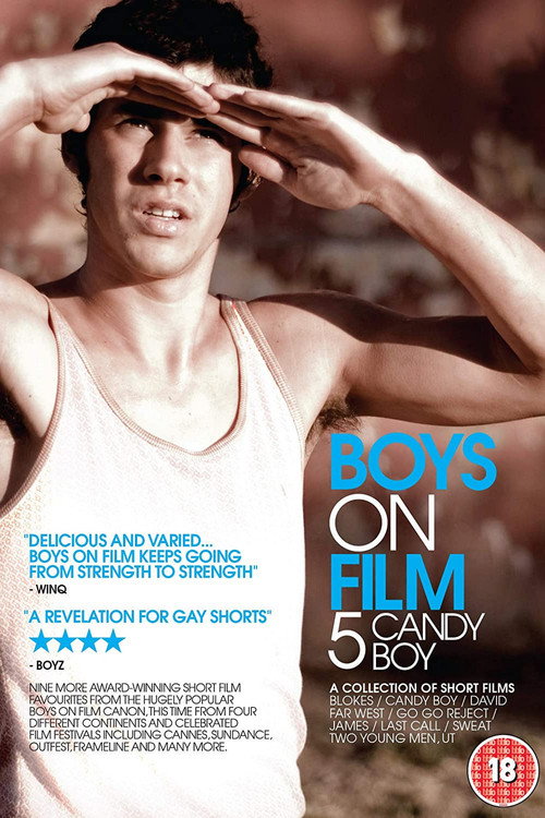 Boys On Film 5: Candy Boy постер