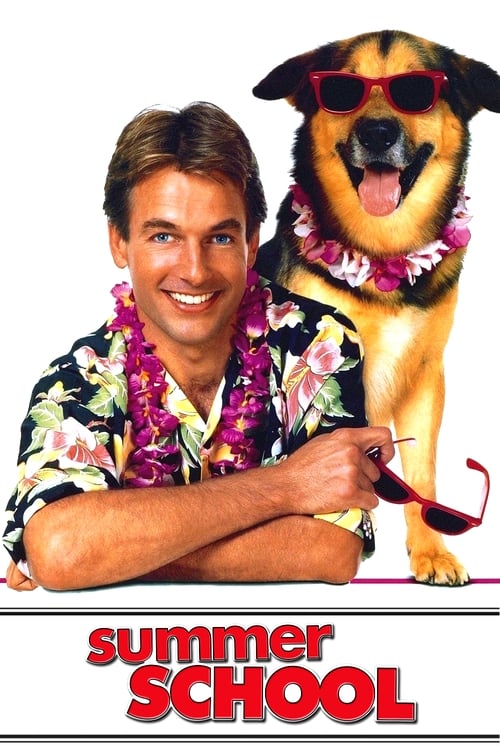 Summer School постер