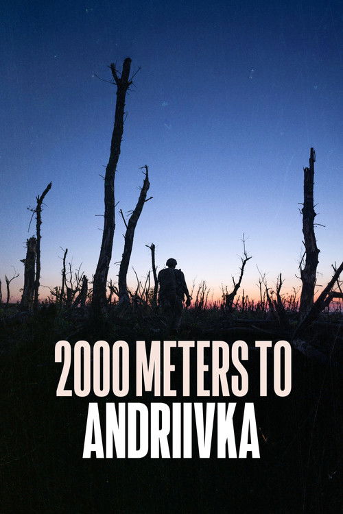 2000 метров до Андреевки постер