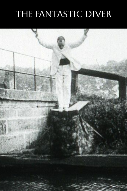 Plongeur fantastique постер