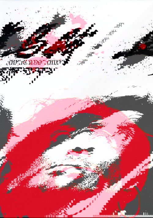 盗马贼 постер