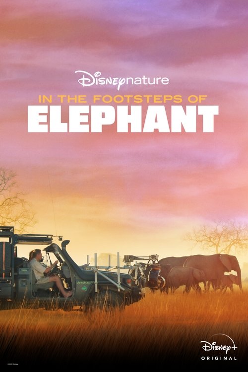 In the Footsteps of Elephant постер