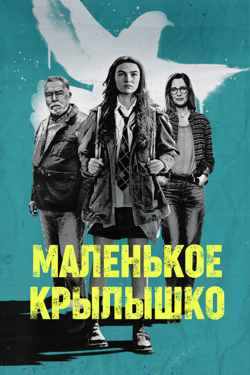 Маленькое крылышко постер