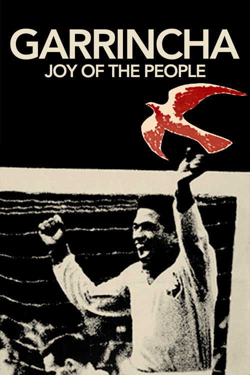 Garrincha, Alegria do Povo постер
