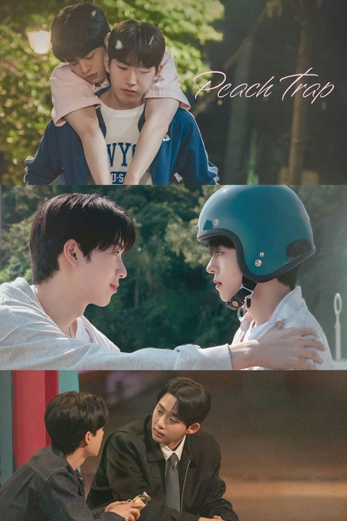 복숭아 꽃이 피었습니다 постер