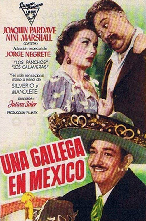 Una gallega en México постер