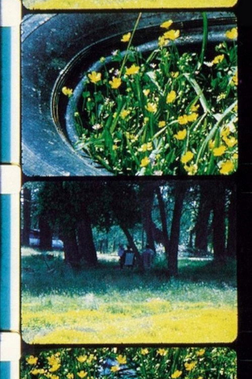 Bouquets 1-10 постер