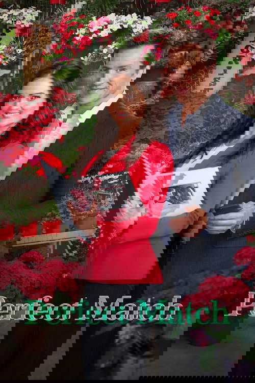 Perfect Match постер