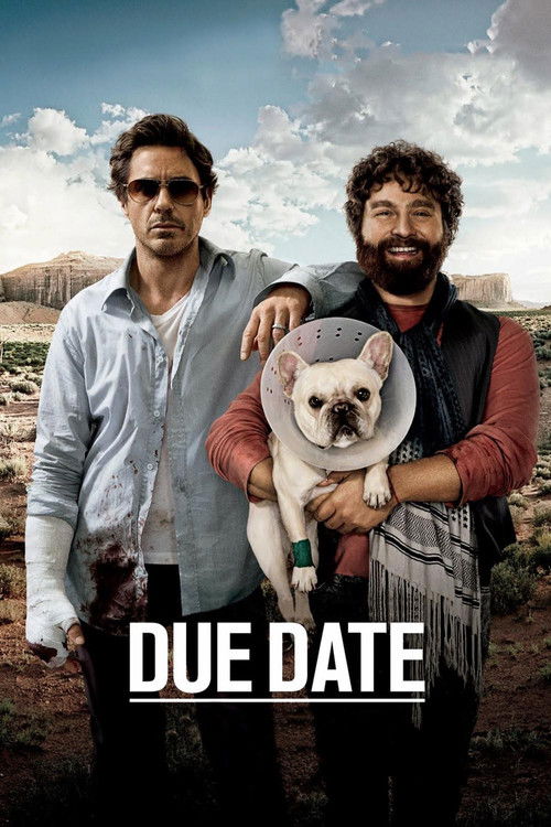Due Date постер