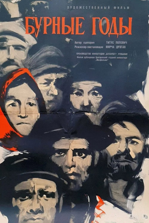 Бурные годы постер