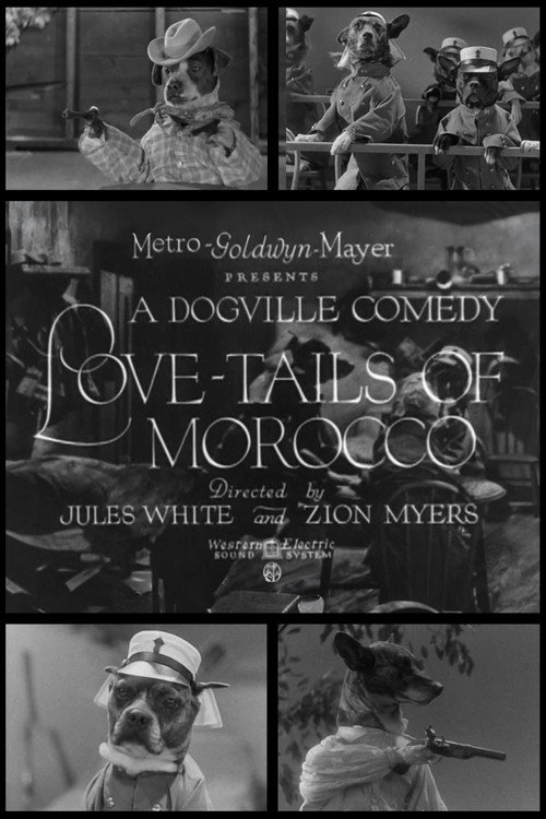 Love-Tails of Morocco постер
