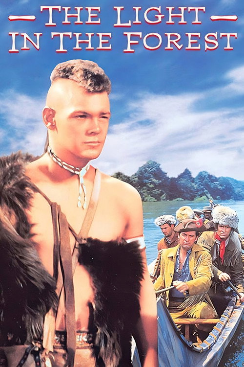 Свет в лесу постер